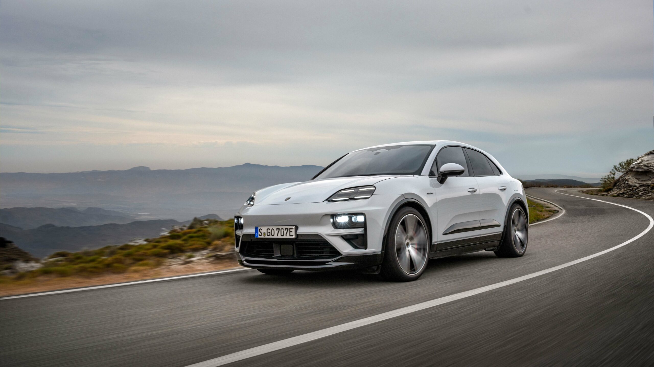 Macan
